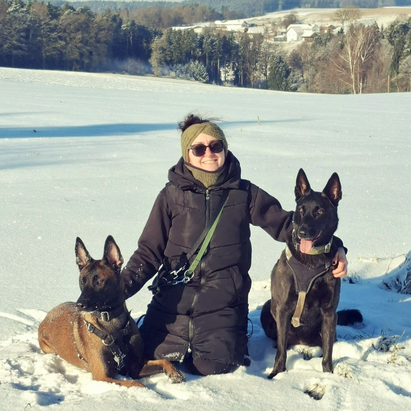 Hundetraining